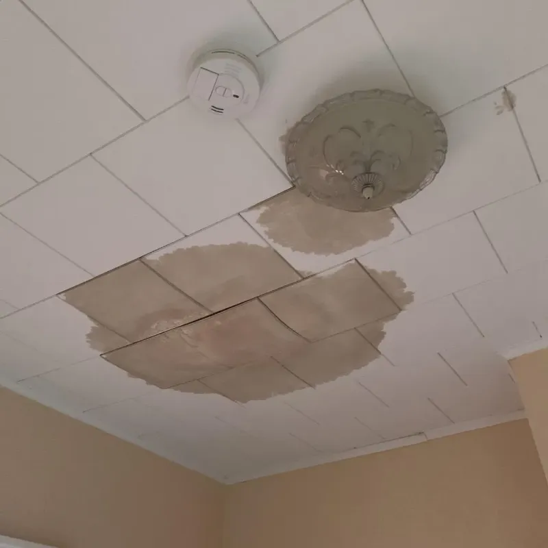 Ceiling Water Damage Repair in Stanton, ND
