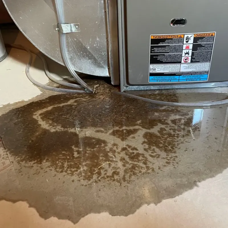 Pipe Burst and Leak Restoration in Stanton, ND