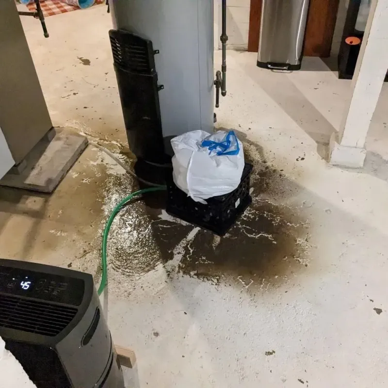 Sewage Backup Cleanup Service in Stanton, ND